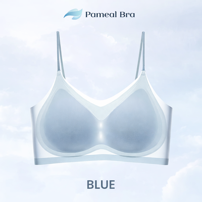 Windy Ice Silk Bra